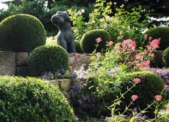 Galerie im Garten der Rosenpark Klinik